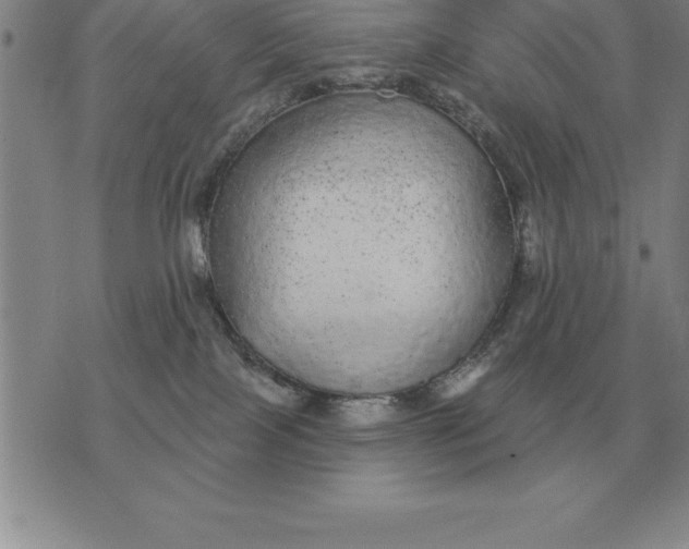 X0000076080089200610152303