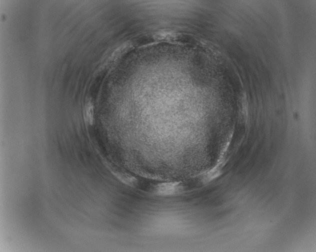 X0000076080090200610152303