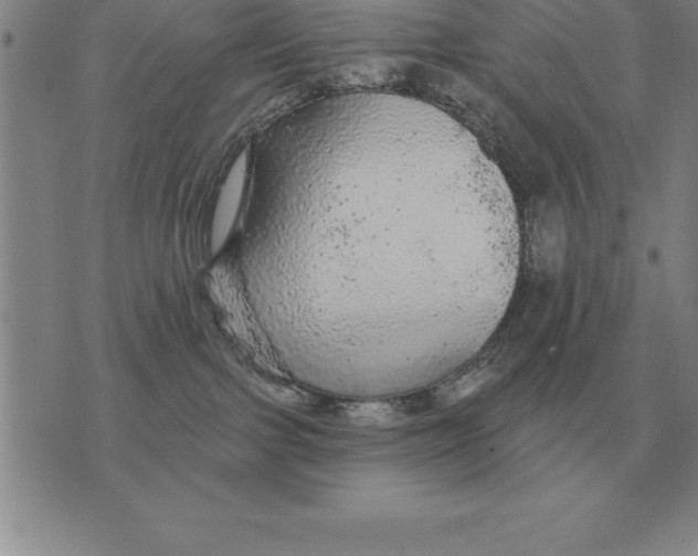 X0000076080091200610152303