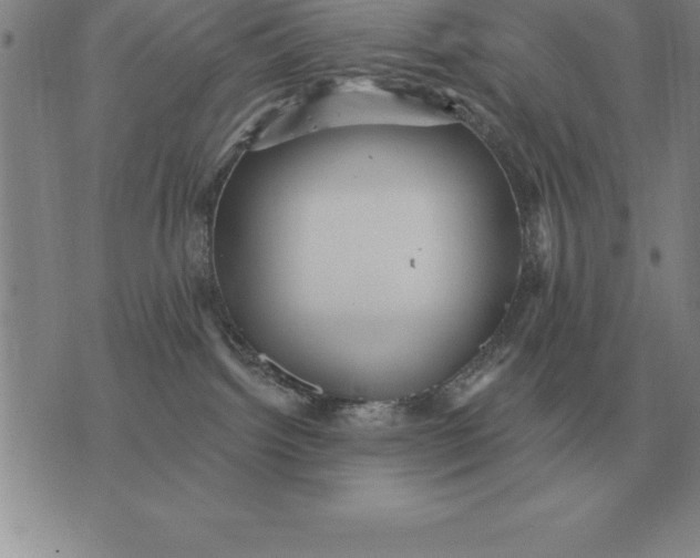 X0000076080092200610152303