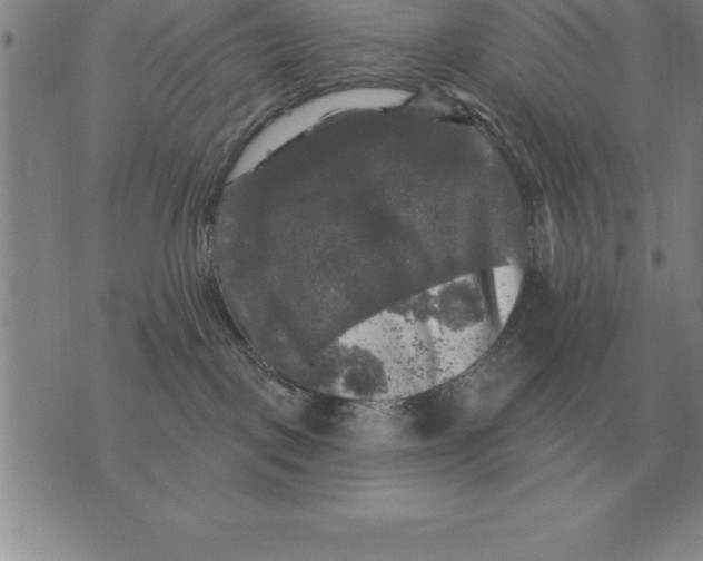 X0000076080093200610152303