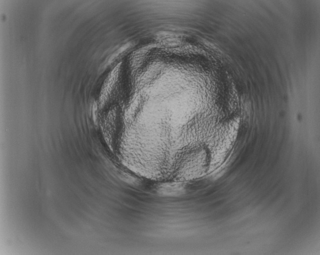 X0000076080094200610152303