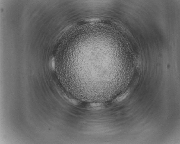 X0000076080095200610152303