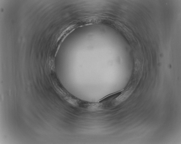 X0000076080096200610152303