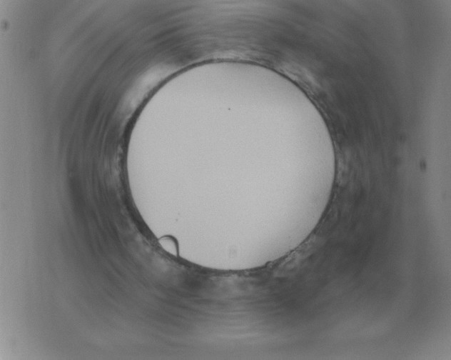 X0000076080098200610152303