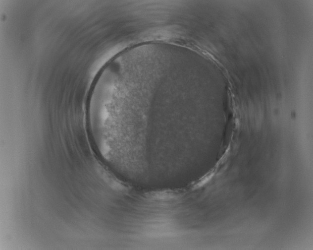 X0000076080100200610152303