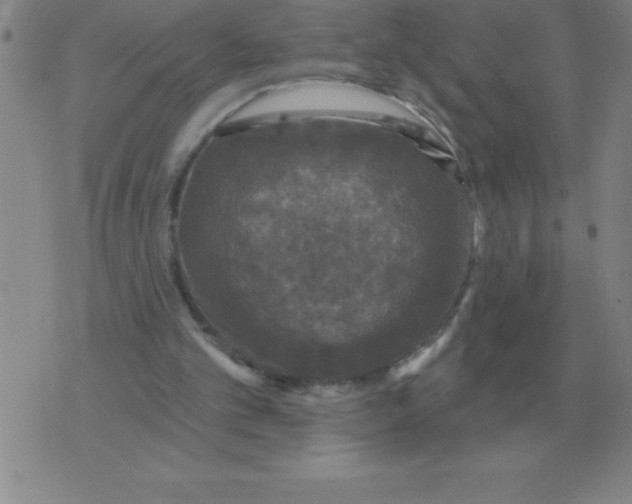 X0000076080101200610152303