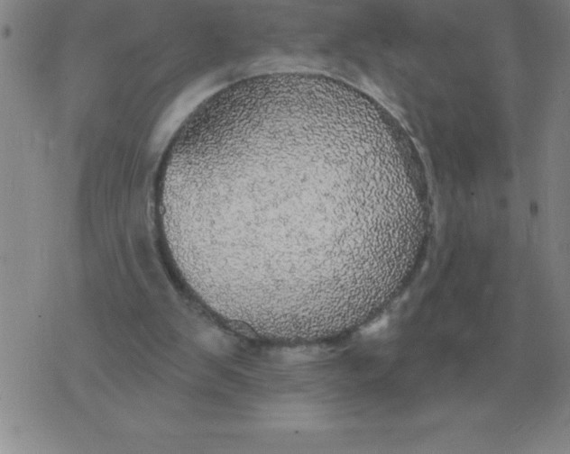 X0000076080103200610152303