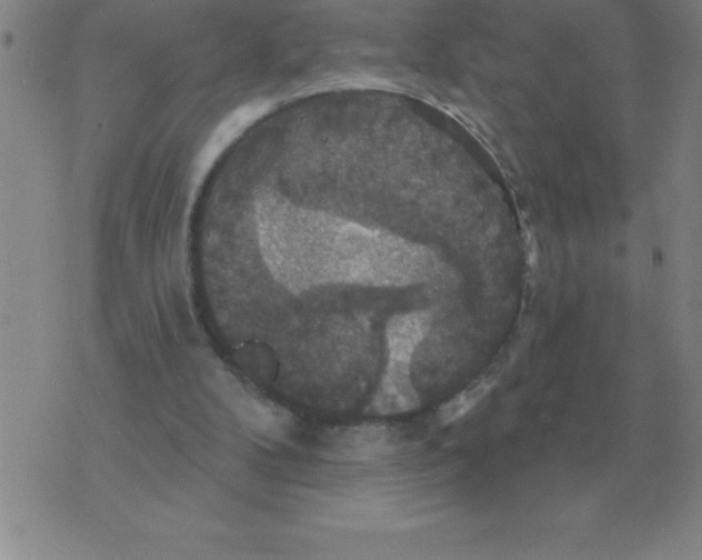 X0000076080104200610152303