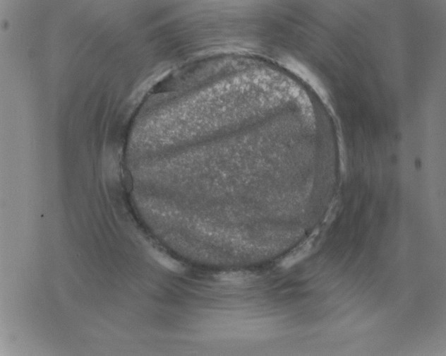 X0000076080105200610152303