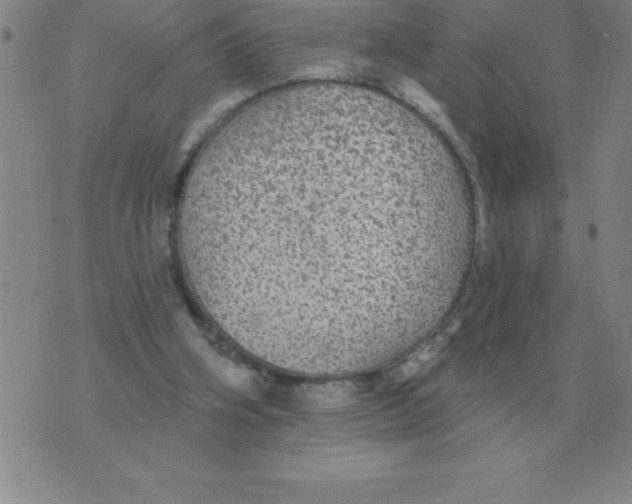 X0000076080106200610152303