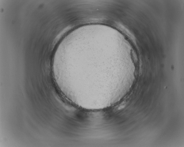 X0000076080107200610152303