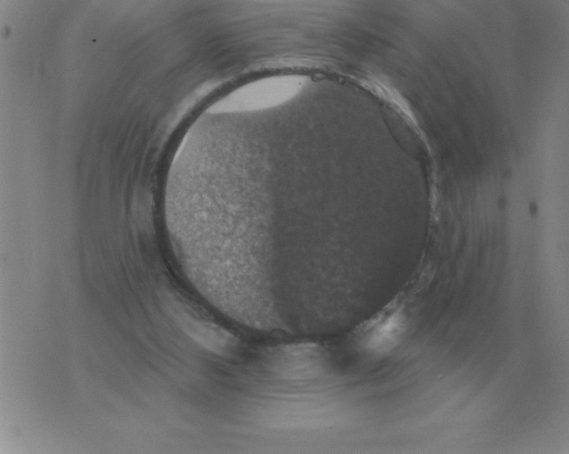 X0000076080108200610152303