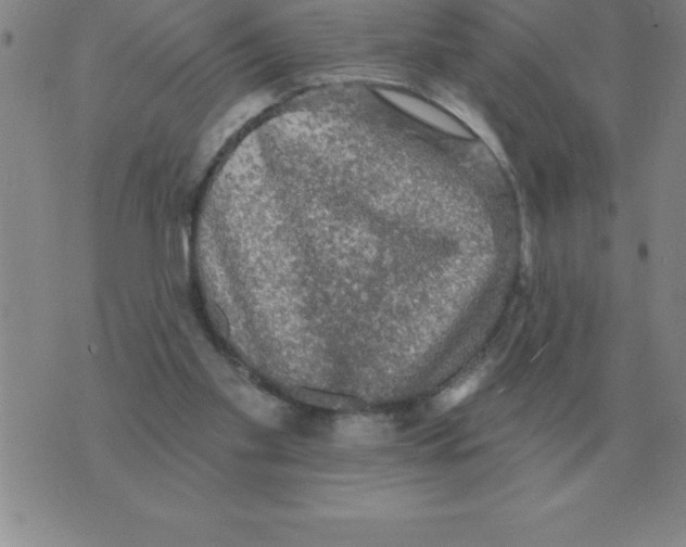 X0000076080109200610152303