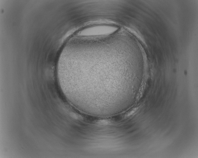 X0000076080111200610152302