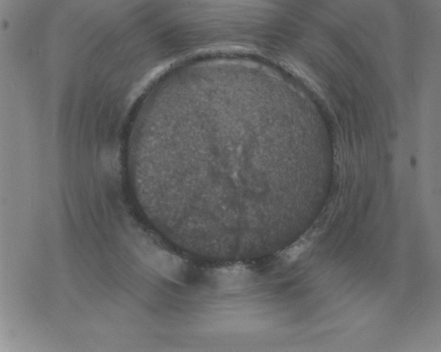 X0000076080112200610152302