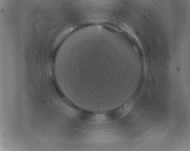 X0000076080114200610152302