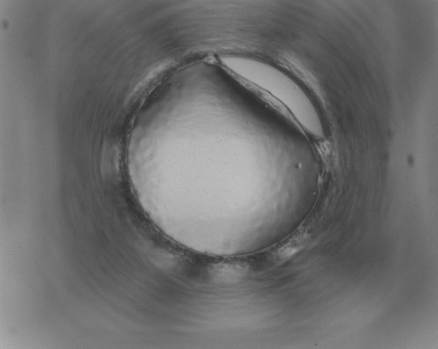 X0000076080115200610152302