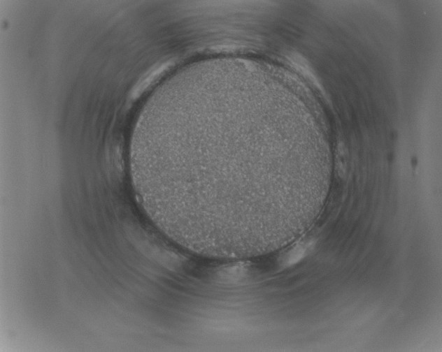 X0000076080116200610152302