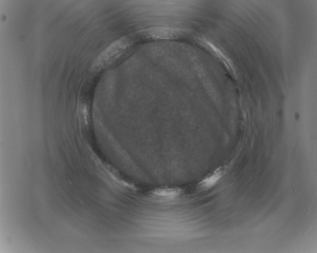 X0000076080117200610152302