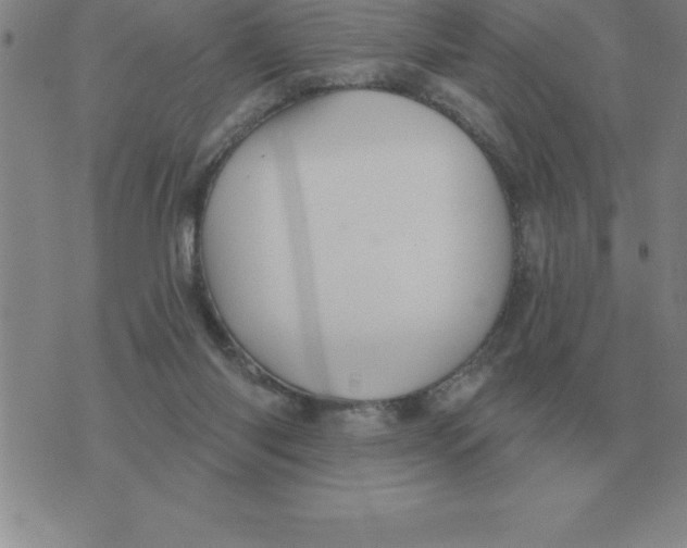 X0000076080118200610152302