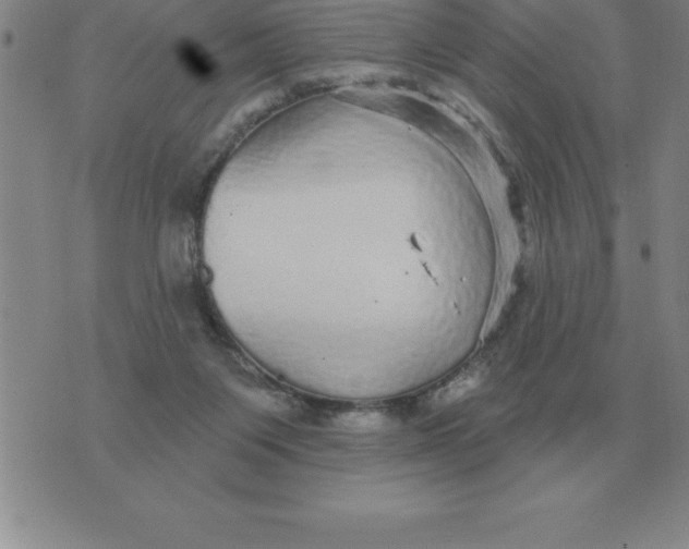 X0000076080119200610152302