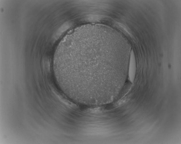 X0000076080120200610152302