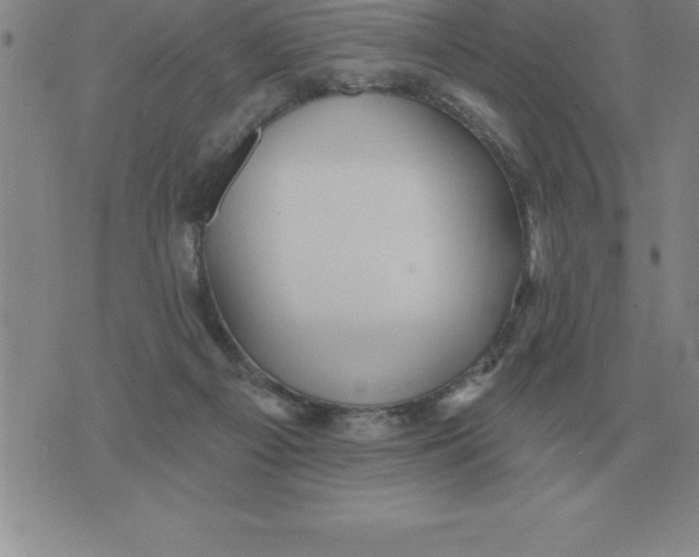 X0000076080121200610152302