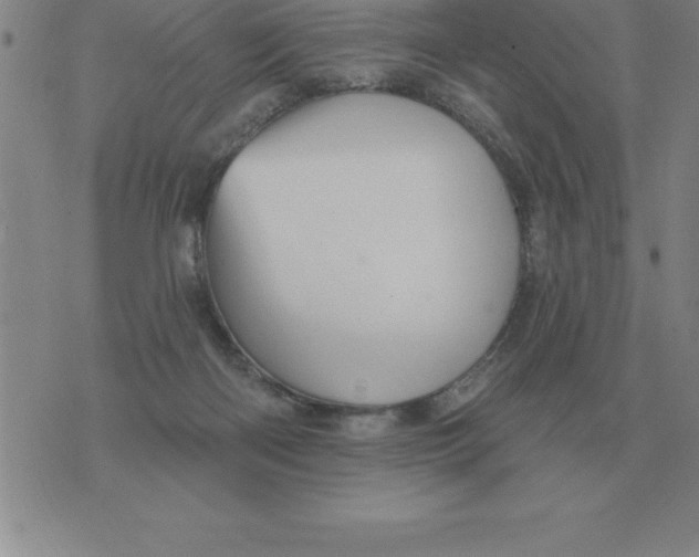 X0000076080122200610152302