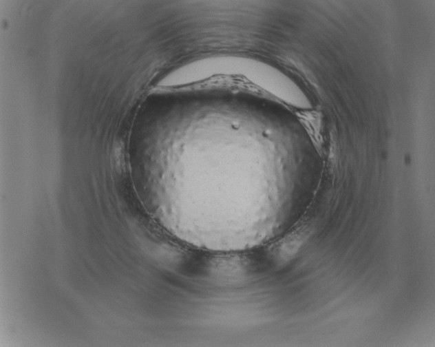 X0000076080123200610152302