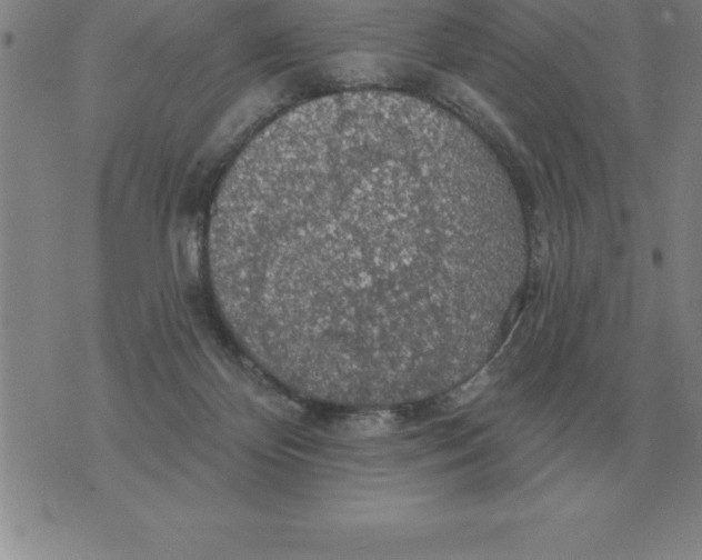 X0000076080124200610152302