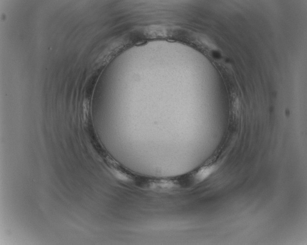 X0000076080125200610152302