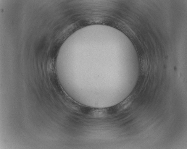 X0000076080126200610152302