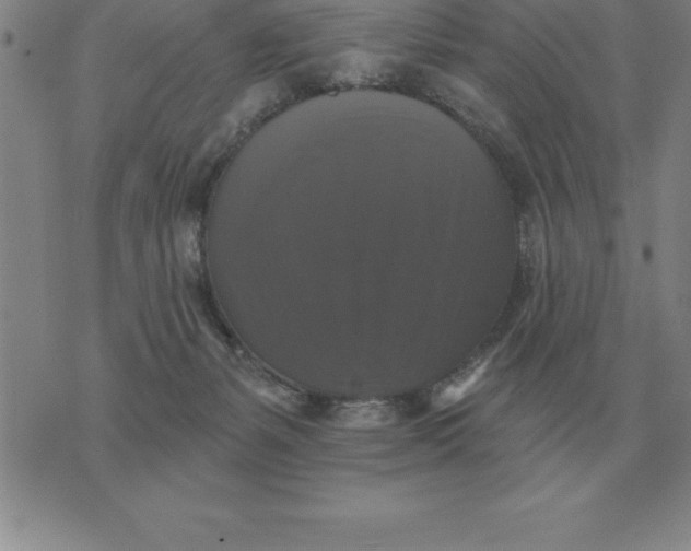 X0000076080127200610152302