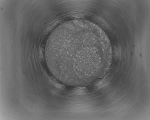 X0000076080128200610152302