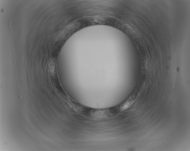 X0000076080129200610152302