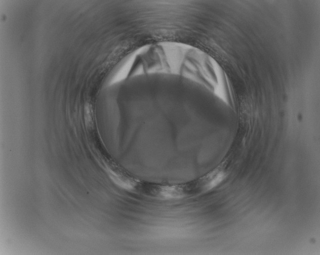 X0000076080130200610152302