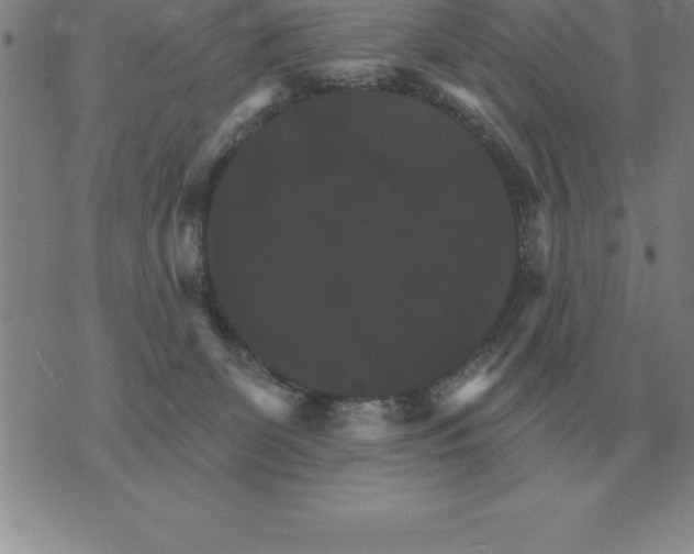 X0000076080131200610152302