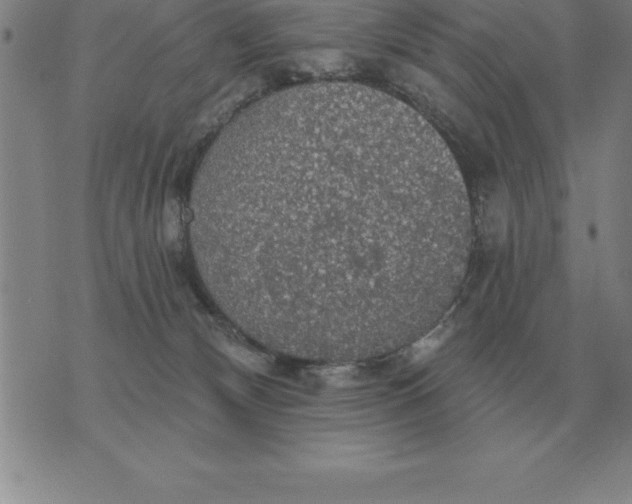 X0000076080132200610152302