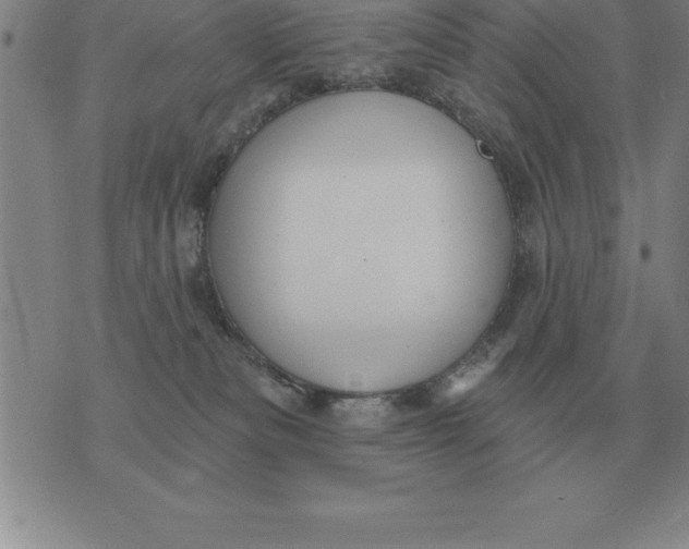 X0000076080133200610152302