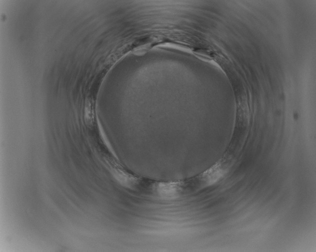 X0000076080134200610152302