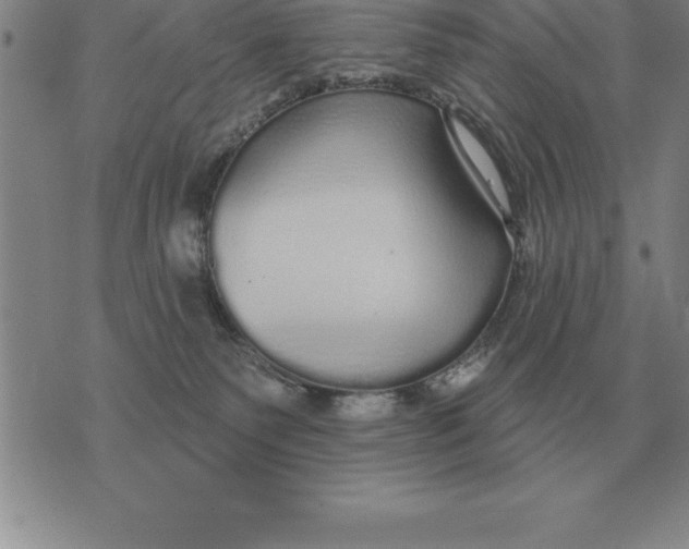 X0000076080135200610152302