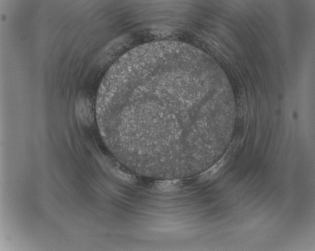 X0000076080136200610152302