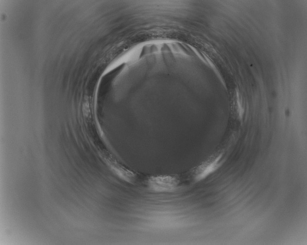 X0000076080137200610152302