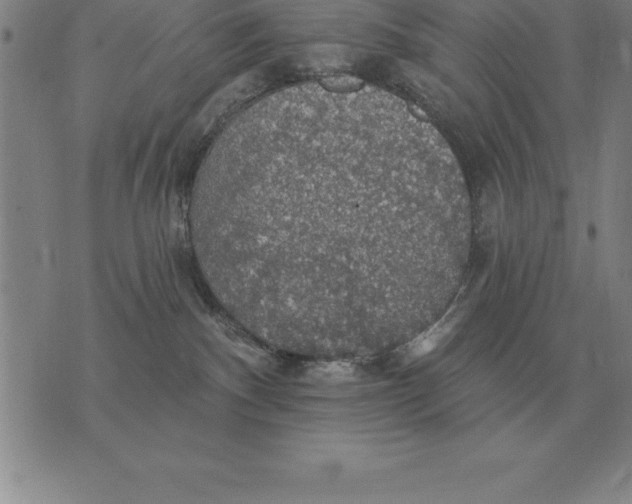 X0000076080140200610152302