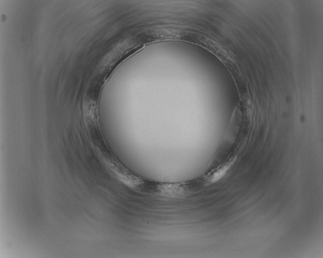 X0000076080141200610152302