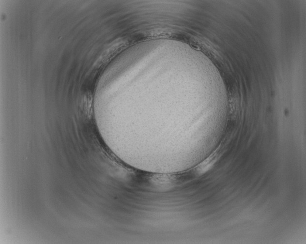 X0000076080142200610152302