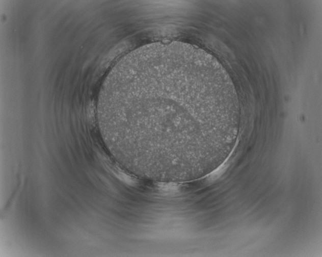 X0000076080144200610152302