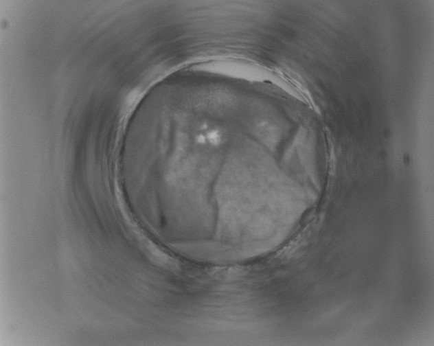 X0000076080145200610152301