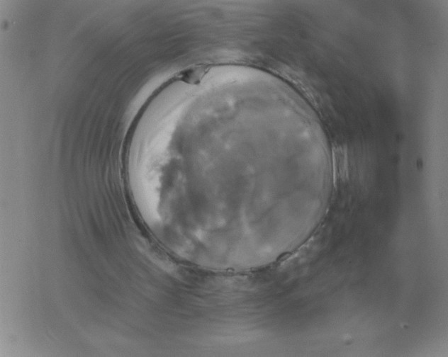 X0000076080147200610152301